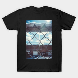 Warm Winter Icicle. T-Shirt